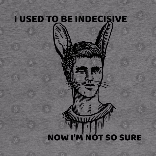 I used to be indecisive but now I'm not so sure by GeckoPOD